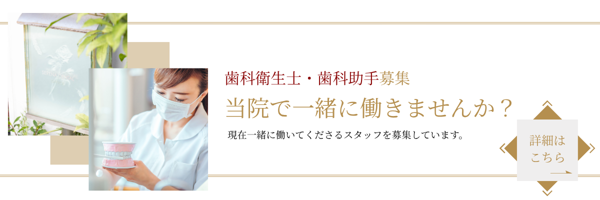 求人案内（採用情報）